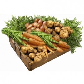 Baslåda GD Abonnemang