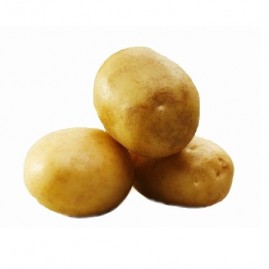 Potatis