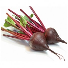 Rödbetor